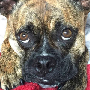 Meet your Posher, Debbie